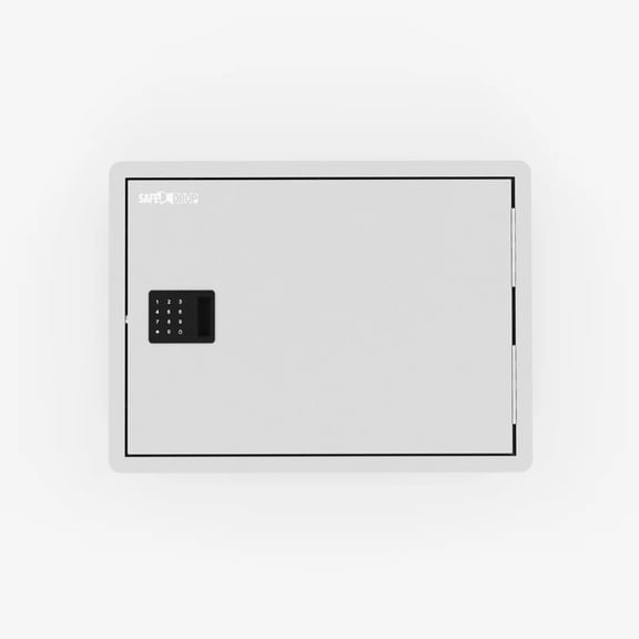 Safe Drop Security Parcel Mailbox, Aluminum Security Door, Proprietary Lock, Smart App Control