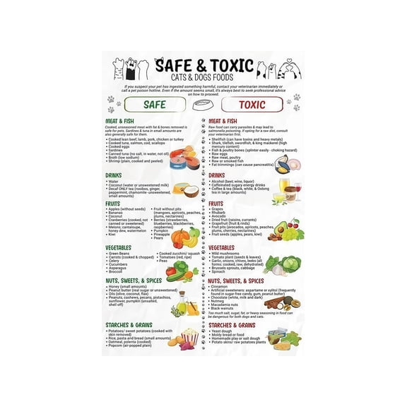 Safe Foods for Pets Poster Comprehensive Dogs and Cats Food Guide Veterinary Approved Chart of What to Feed and Common Dangers to Avoid