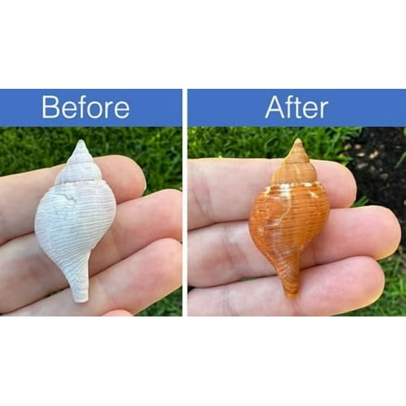 Safe-HCL- (1 Gallon, 3.78 Liters) Biologically Safe, Synthetic, Hydrochloric/Muriatic Acid - NO Personal Protective Equipment (PPE) Required