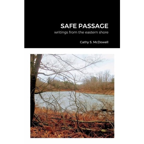 Safe Passage (Paperback)