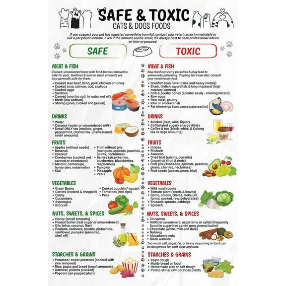 Safe and Toxic Foods for Dogs and Cats Poster Food Dog Cat Shouldn't Eat, Ultimate Pet Health Guide Print, List of Foods Pet Can Eat poster