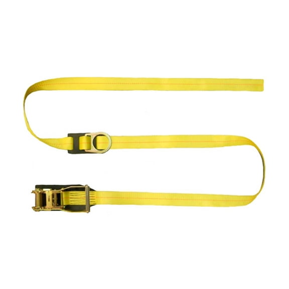 SafeWaze FS-EX400-30 30' Ratchet Boom Strap w/ D-Ring