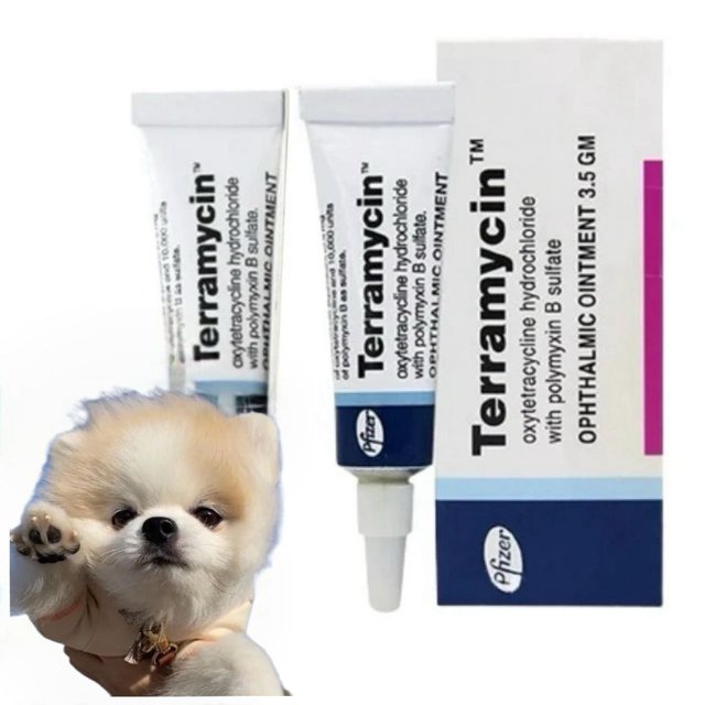 Safedaddy Terramycin Antibiotic Ointment for Eye Infection Treatment in