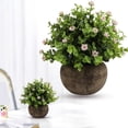 thumbnail image 1 of Safeglitz Artificial Potted Small Plant with Hemispherical Pulp Bonsai, Lifelike Greenery for Tabletop Decoration, No-Watering Design for Easy Home or Office Desk Accents, 1PC, 1 of 9