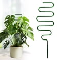thumbnail image 1 of Safeglitz Metal Plant Support Stakes for Climbing Vines, Golden Coated & Rust-Proof, Easy to Insert for Potted Indoor or Garden Plant Growth, 1 of 9
