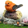 thumbnail image 1 of Safeglitz Realistic Resin Bird Figurine – Delicate Detail Statue for Car, Garden & Home DecorMiniature landscape simulation cute boutique bird ornaments orange bird white box, 1 of 7