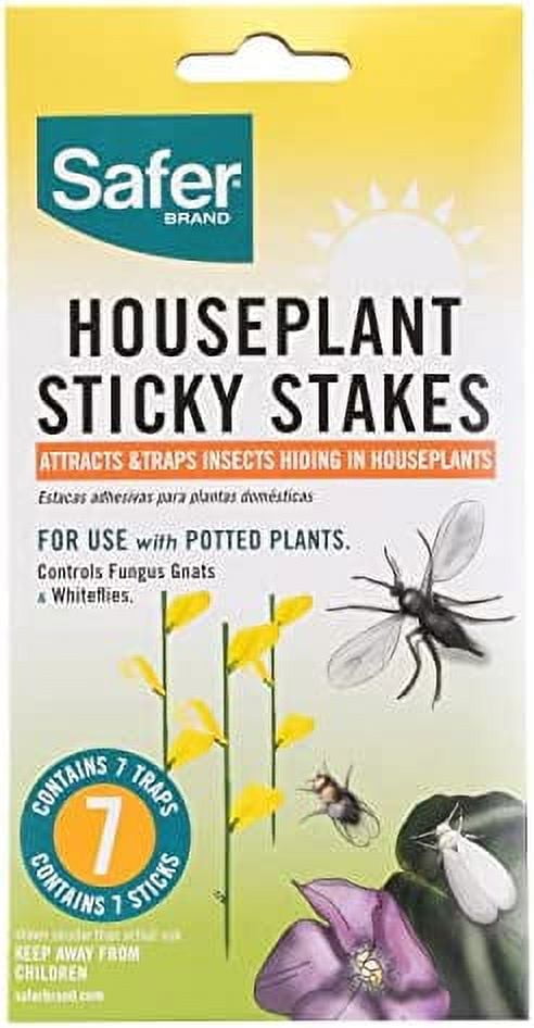 Safer Brand 5026 Houseplant Sticky Stake Insect Traps for Indoor Plants -  Controls Fungus Gnats, Whiteflies, Midges, Thrips, Fruit Flies, and Black  Flies - 1 Pack, 7 Traps 