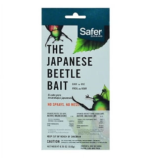 Safer Insect and Pest Baits in Pest Control 