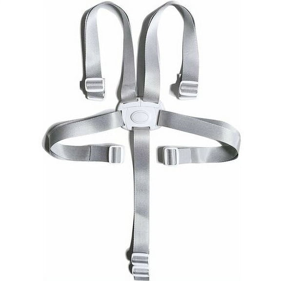 Safety Belts for High Chair, 5-Point Safety Harness for Children, Convertible Harness Compatible with High Chair, Stroller, Swing, Shopping Cart, Adjustable Nylon Straps, Gray