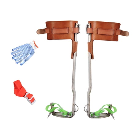 Safety Climbing Leather Belt Stainless-Steel Step Spur Tool Suitable for High Altitude Logging Fruit Picking Equipment Half Leather 1 Gear