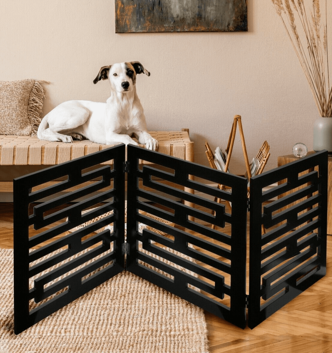 Room Dividers Dog Gates For Rooms Puppy Room Divider Safety