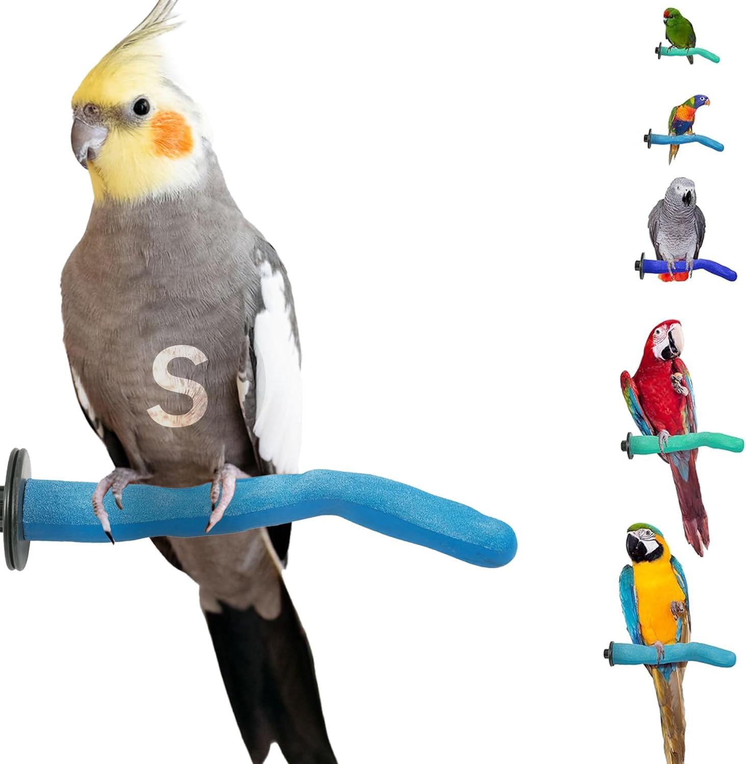 Safety Pumice Perch Trims Nails And Beak Photo Inspiration