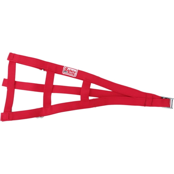 Safety Racing Red Sprint Car Open Wheel Cage Net-No Plastic