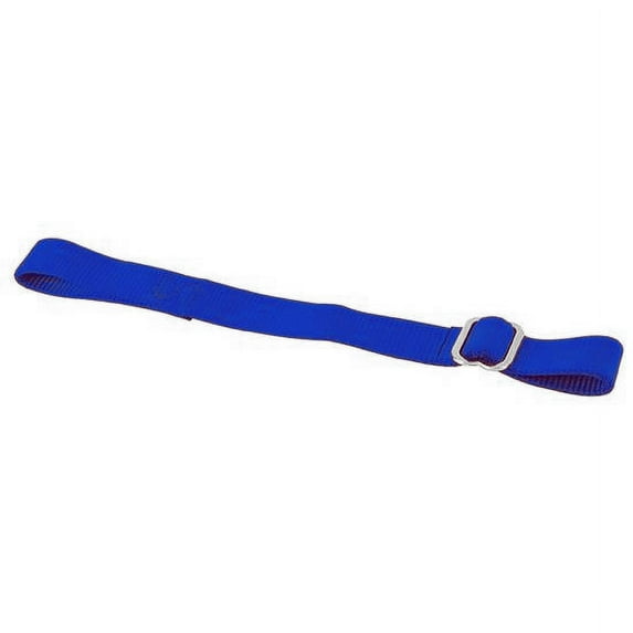 Safety Racing Sprint Safety Strap For Drag Link, Blue
