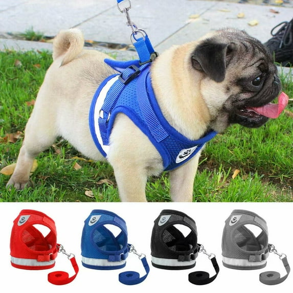Safety Reflective Dog Harnesses and Leash set Adjustable Walking Breathable Mesh Dog Vest with Traction Rope for Small Dogs Cats (Blue,XL)