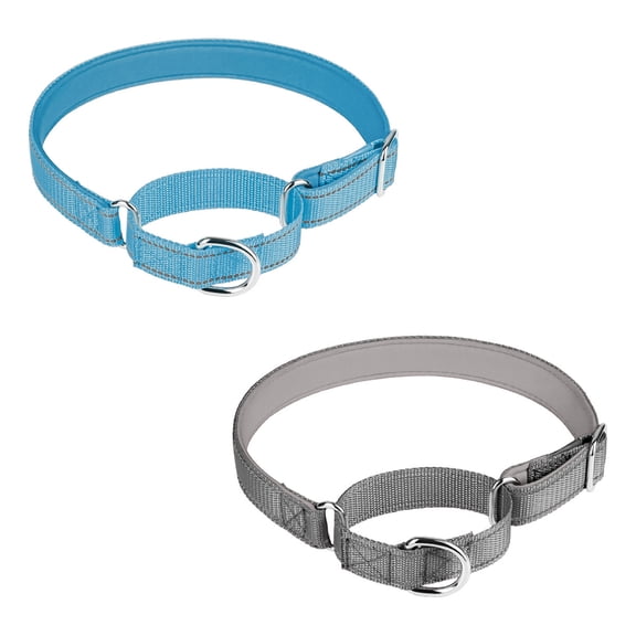Safety Training Collar,Buckle Reflective Adjustable Heavy Duty Slip Collar for Small Dogs - Blue+Gray - M