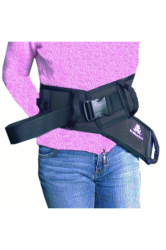 Transfer Belt - Medium