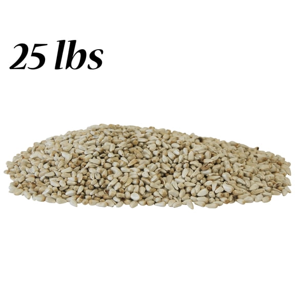 BestNest Safflower Seed, 25 lb Bag of Premium Wild Bird Food, High-Protein Seed for Cardinals, Doves & Woodpeckers, Squirrel-Resistant, Ideal for Hopper, Tube & Tray Bird Feeders