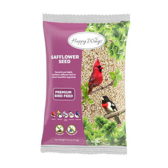 Safflower Seeds Wild Bird Food - 5 Pounds I No Grow Seed I Bird seed for Finches and other wild birds, Dry