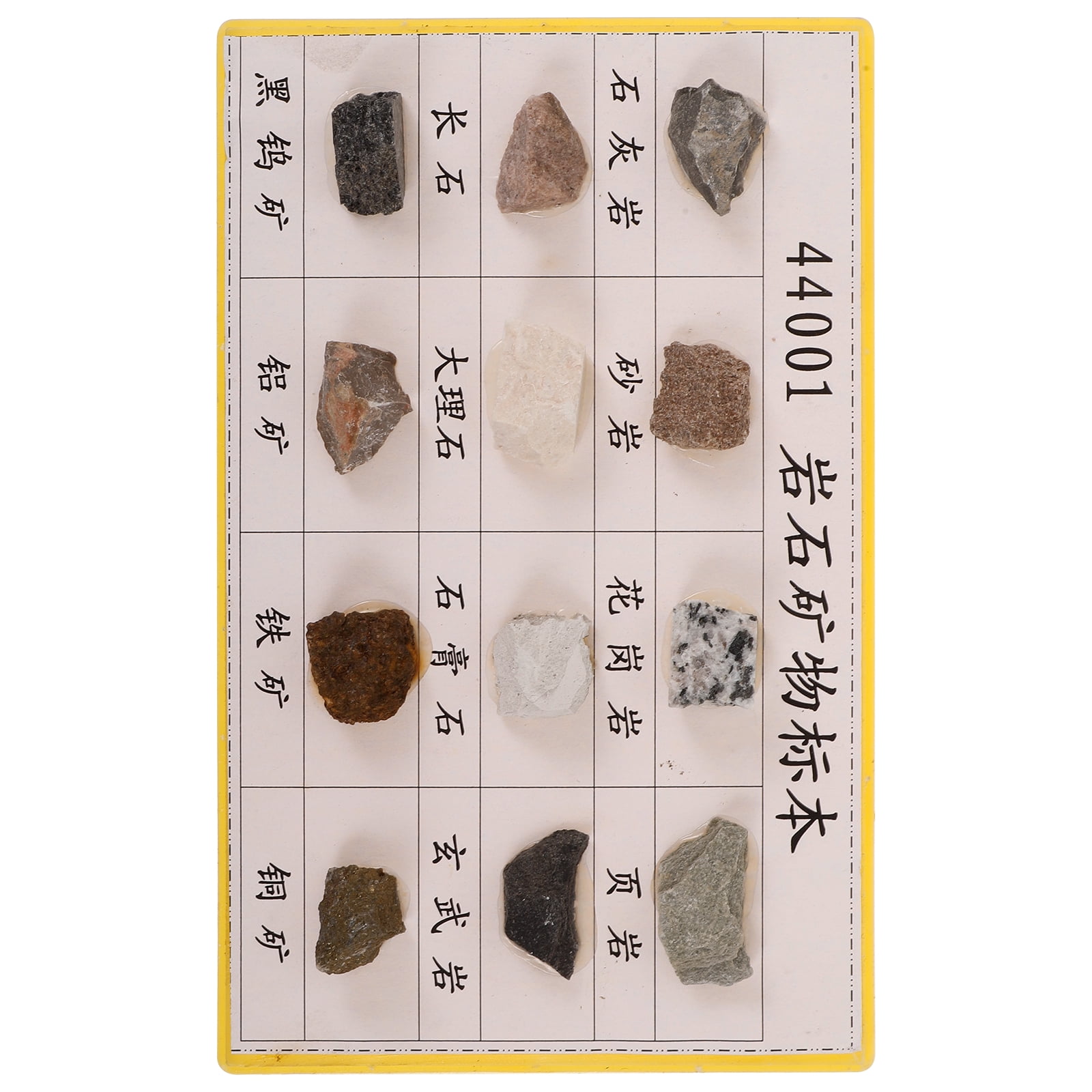 Labortory Rocks SHOWERORO 12Pcs Mineral Rock Specimen Kit Portable Lightweight Rocks ...
