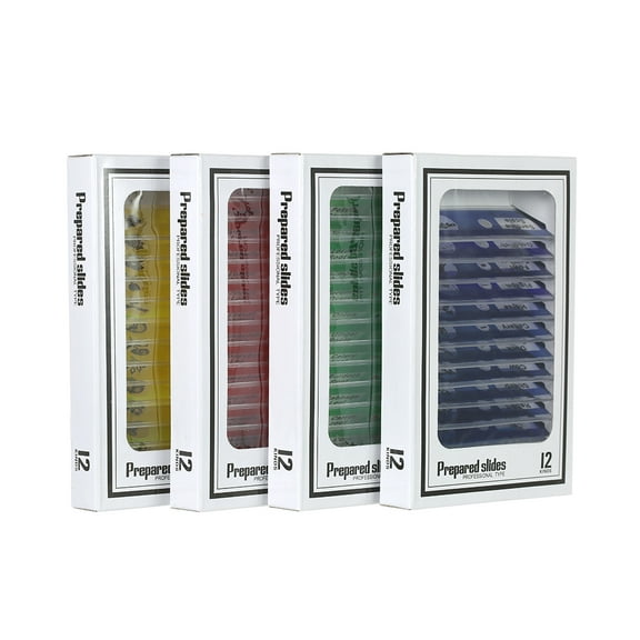 SagaSave 12pcs/Box Kids Microscope Prepared Slides Animals Insects Plants Flowers Sample Colored Labels