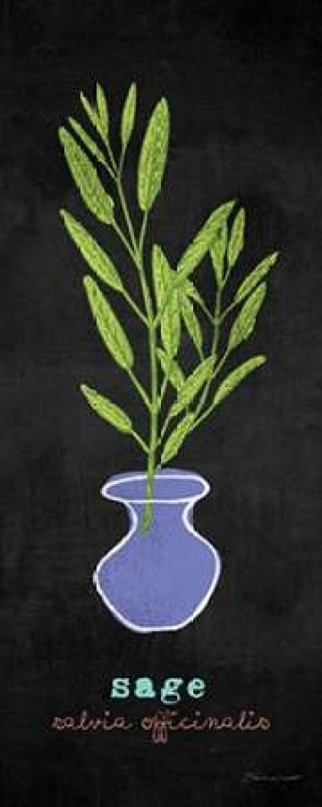 Sage Canvas Art - Stephanie Marrott (24 x 48)