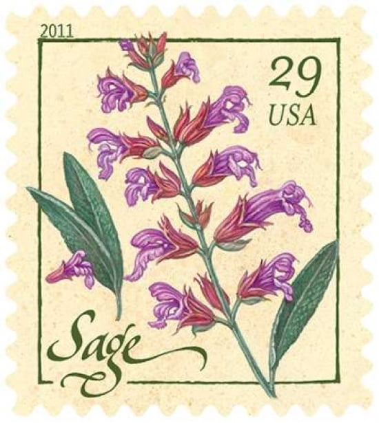 Sage Canvas Art - US POSTAL SERVICE (24 x 24)