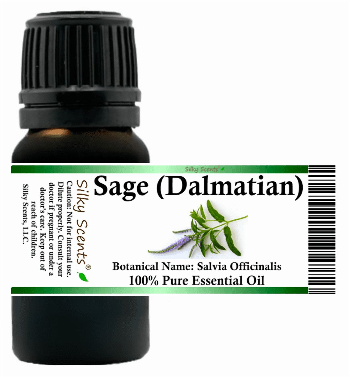 Sage Dalmatian Essential Oil 1 fl oz (30 ml) - 100% Pure and Natural by Silky Scents