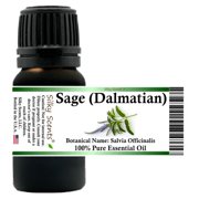 Sage (Dalmatian) Essential Oil