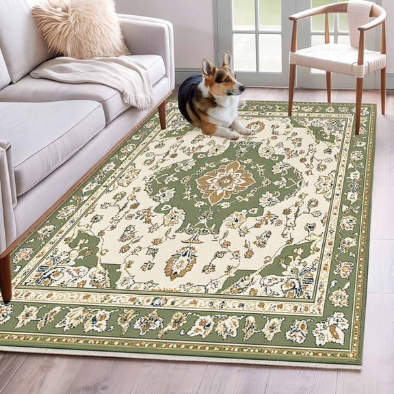 Sage Green Area Rug 4x6 Washable Rug Non Slip Southwest Tribal Antique Boho-Chic Farmhouse Large Area Rug Indoor Floor Carpet for Entryway Bedroom Kitchen Living Room Home Office Dining Room Nursery