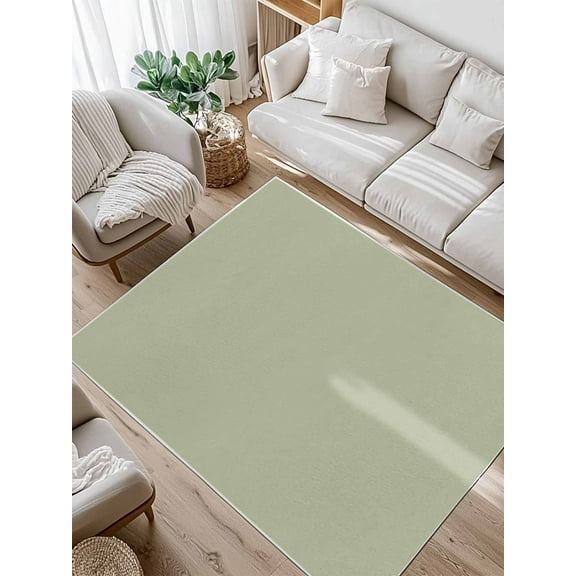 Sage Green Area Rug for Bedroom 2.7x5 Ft Solid Color Super Soft fuzzy Throw Rug Non-Slip Fluffy Plush Indoor Floor Carpet for Living Room Nursery Home Decor