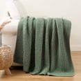 thumbnail image 1 of Battilo Sage Green Cable Knit Throw Blanket,Lightweight Decorative Waffle Blanket for Spring Decor,50"x60", 1 of 9