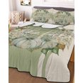 thumbnail image 1 of Sage Green Fall Twin Size Down Alternative Comforter, Lightweight Comforter Quilt Bedding Set with Pillow Shams Pumpkins Wreath Rustic Thanksgiving All Seasons Bed Comforter Duvet Insert 68"x86", 1 of 7