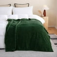 thumbnail image 1 of Sage Green Fleece Throw Blanket 50”×60” for Couch Sofa Bed,Super Soft Cozy Plush Microfiber Flannel Blanket with Stripes Design Lightweight for Adults,Woman,Girls, 1 of 5