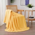 thumbnail image 1 of Sage Green Fleece Throw Blanket 50”×60” for Couch Sofa Bed,Super Soft Cozy Plush Microfiber Flannel Blanket with Stripes Design Lightweight for Adults,Woman,Girls, 1 of 5