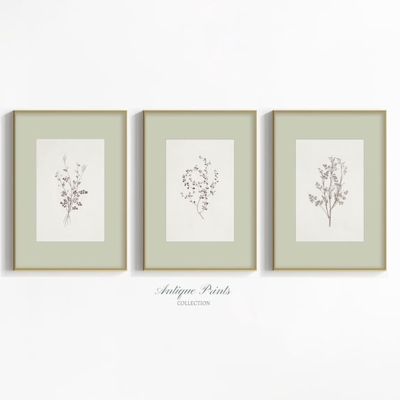 Sage Green Floral Branch Minimal Vintage Cottagecore Wall Art Set 3 Stretched Canvas 16x24