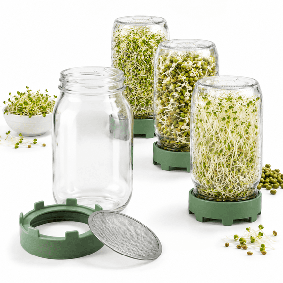 Sage Green Glass Sprouting Jar Kit - Set of 4 for Growing Broccoli Alfalfa Mung Bean Sprouts