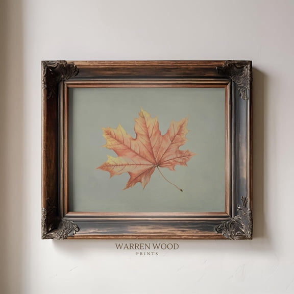 Sage Green Maple Leaf Print, Rustic Autumn Wall Art, Vintage Botanical Fall Decor, Antique Country Farmhouse Landscape Illustration Home Decor #1512, Unframed Canvas Size 8x12