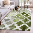 thumbnail image 1 of Sage Green Morocco Washable Area Rugs 2.7'x5', Abstract Retro Low Pile Throw Living Room Rug Non-Slip Sturdy Edge Binding Carpet for Indoor Entryway Bedside Kitchen, 1 of 9