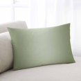 thumbnail image 1 of Sage Green Ombre Queen Pillow Covers, Modern Gradient Abstract Art Soft Breathable Throw Pillow Cases with Invisible Zipper, Decorative Pillowcase Pillows Protectors for Sofa Bed Chair 20"x30", 1 of 9