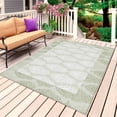 thumbnail image 1 of Sage Green Outdoor Rug 6x9 Ft, Non Slip Washable Area Rug, Vintage Elegant Abstract Art Patio Rugs Carpet Runner, Large Floor Mat for Indoor/Outdoor Deck Porch Camping, 1 of 8