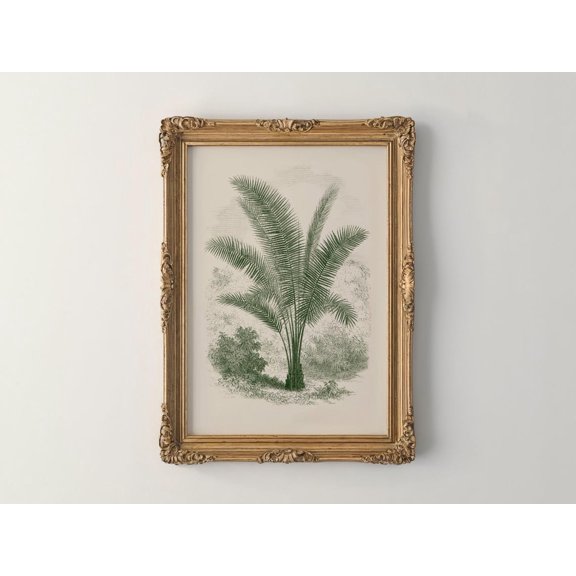 Sage Green Palm Tree Etching Poster Unframed Paper Print
