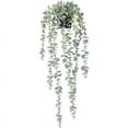 thumbnail image 1 of Sage Green Pvc Plastic Potted Eucalyptus Hanging Plant, 1 of 6
