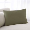 thumbnail image 1 of Sage Green Queen Pillow Covers, Brown Solid Color Simple Abstract Soft Breathable Throw Pillow Cases with Invisible Zipper, Decorative Pillowcase Pillows Protectors for Sofa Bed Chair 20"x30", 1 of 9