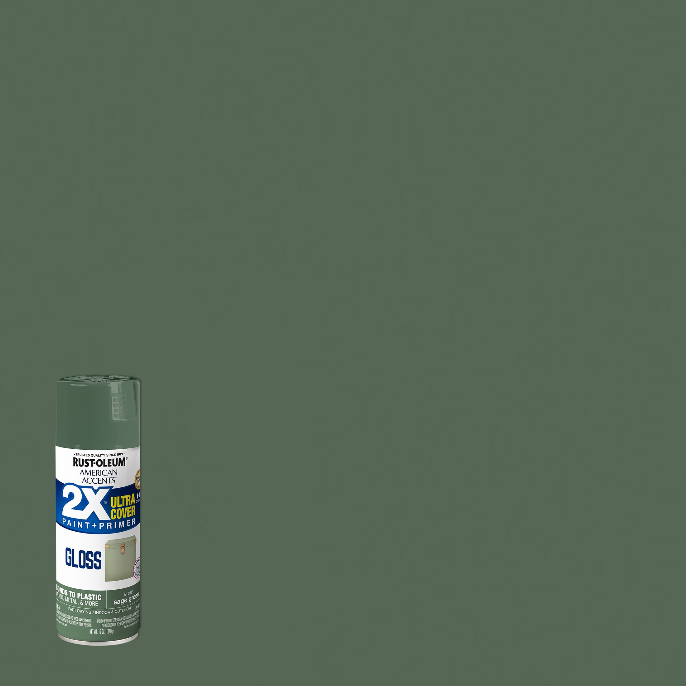Sage Green, Rust-Oleum American Accents 2x Ultra Cover Gloss Spray Paint- 12 oz, Size: 12.0 oz