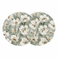 thumbnail image 1 of Sage Green Spring Floral Round 13 Inch Placemats Set of 2, Summer Botanical Flowers HeatResistant Non Slip Place Mats for Dining Table, Wipeable Braided Kitchen Table Mats for Housewarming, 1 of 9