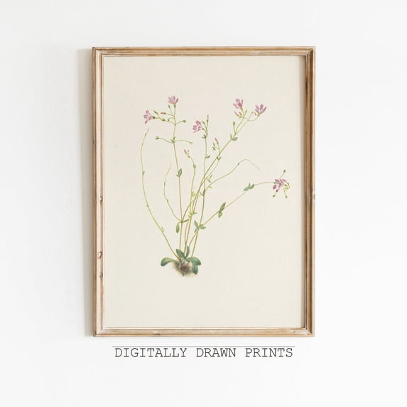 Sage Green Wall Art Prints, Vintage Botanical Drawing, Sketch, Floral ...