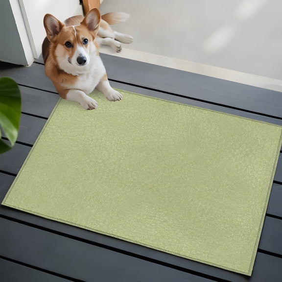 Sage Green Washable Entry Rug 2x3 Country Vintage Minimalist Classic Solid Color Low Pile Indoor Door Mat with Rubber Backing Thin Area Rug for for Entrance, Bedroom, Kitchen, Laundry, Bathroom