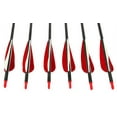 thumbnail image 1 of Sage Premium Recurve Carbon Arrows 31.5" - 35-45lb - 6 Pack- Red, 1 of 4
