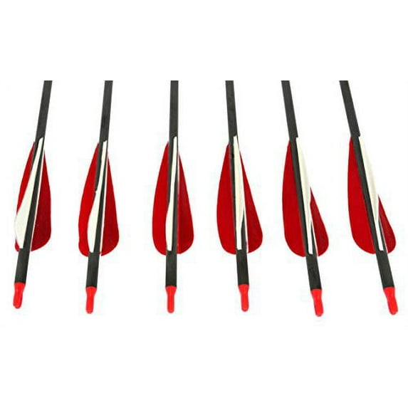 Sage Premium Recurve Carbon Arrows 31.5" - 35-45lb - 6 Pack- Red
